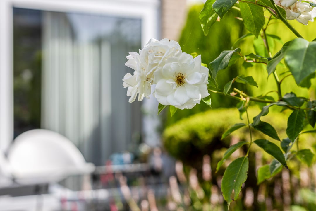 Foto 26 van Goeman Borgesiusstraat 5