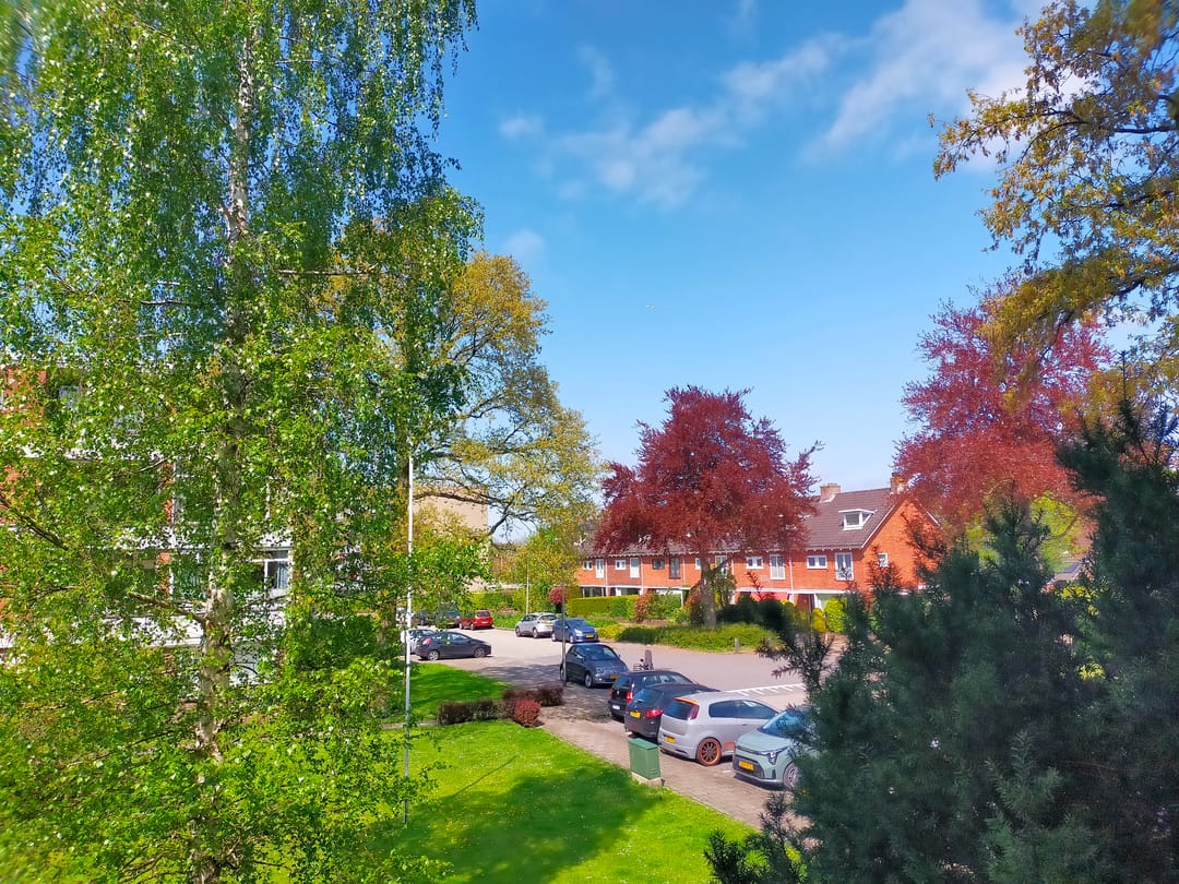 Foto 11 van Zwaluwlaan 100