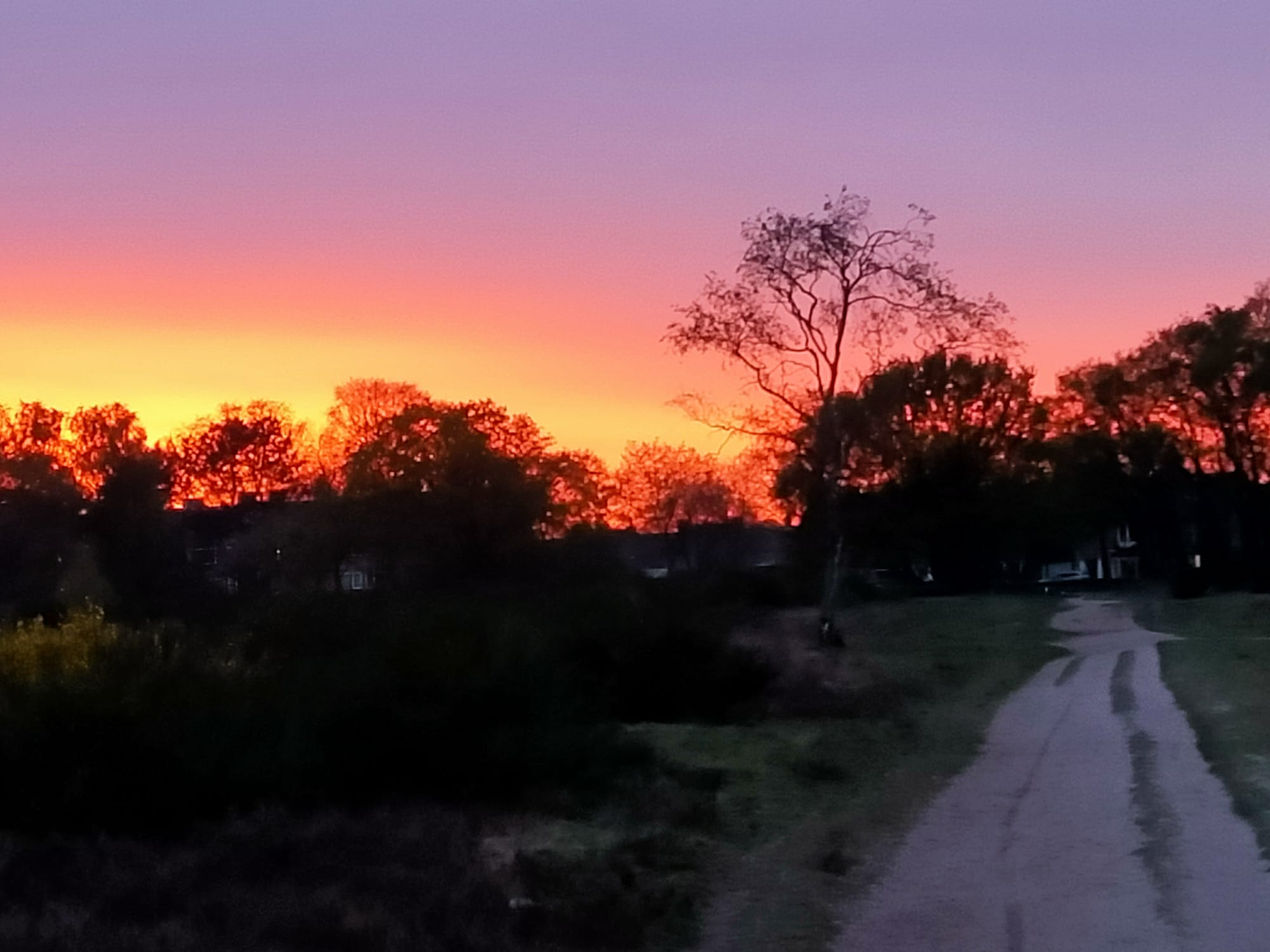 Foto 24 van Zwaluwlaan 100