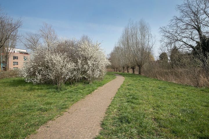 Foto 31 van Moerven 12