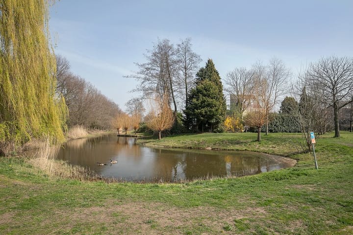 Foto 33 van Moerven 12