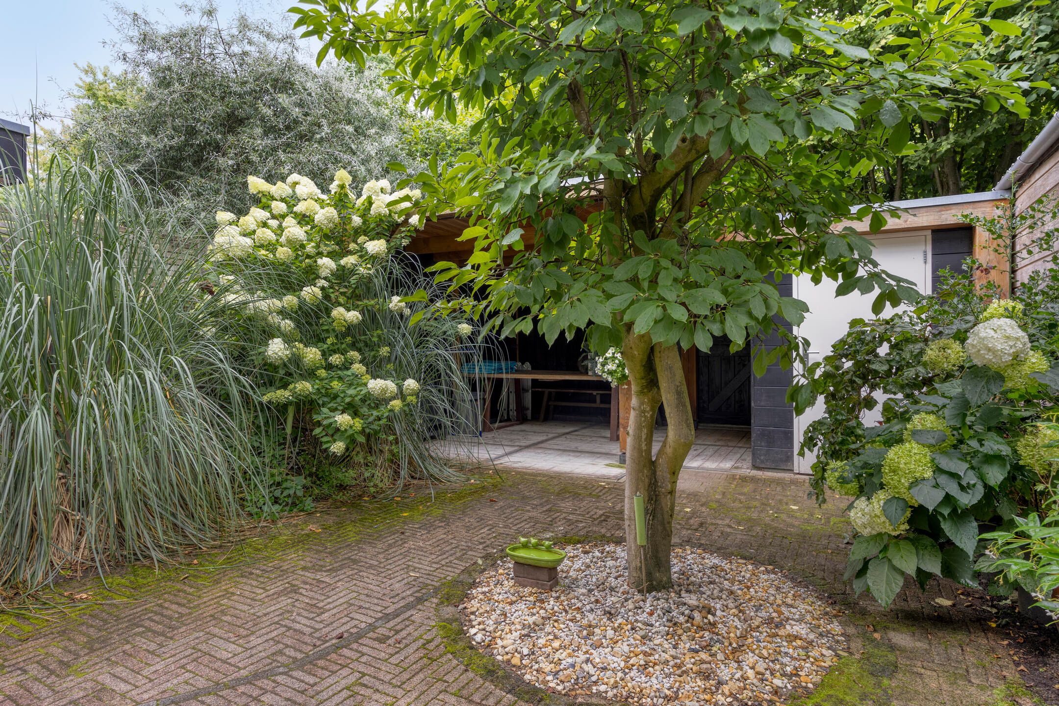 Foto 3 van Galicië 14