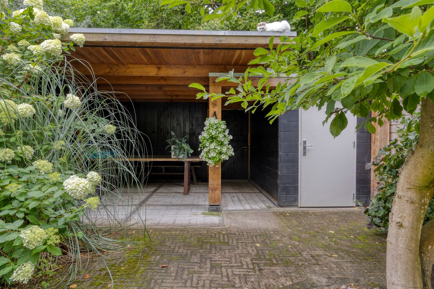 Foto 44 van Galicië 14