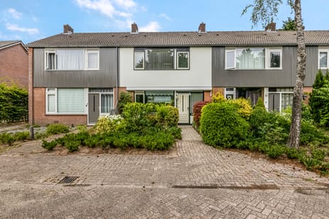 undefined main image