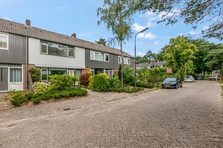 Foto 2 van Esdoornlaan 6