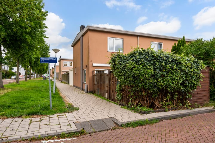 Foto 29 van Abrikozenstraat 38