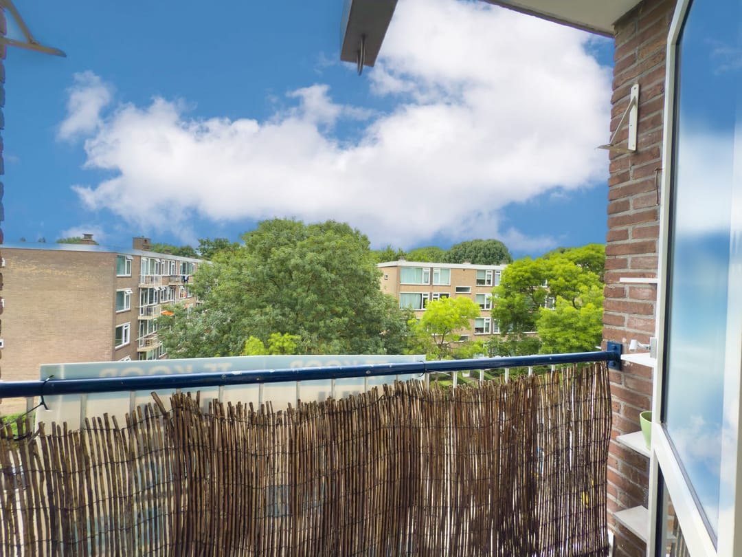 Foto 2 van Vegelinsoord 53