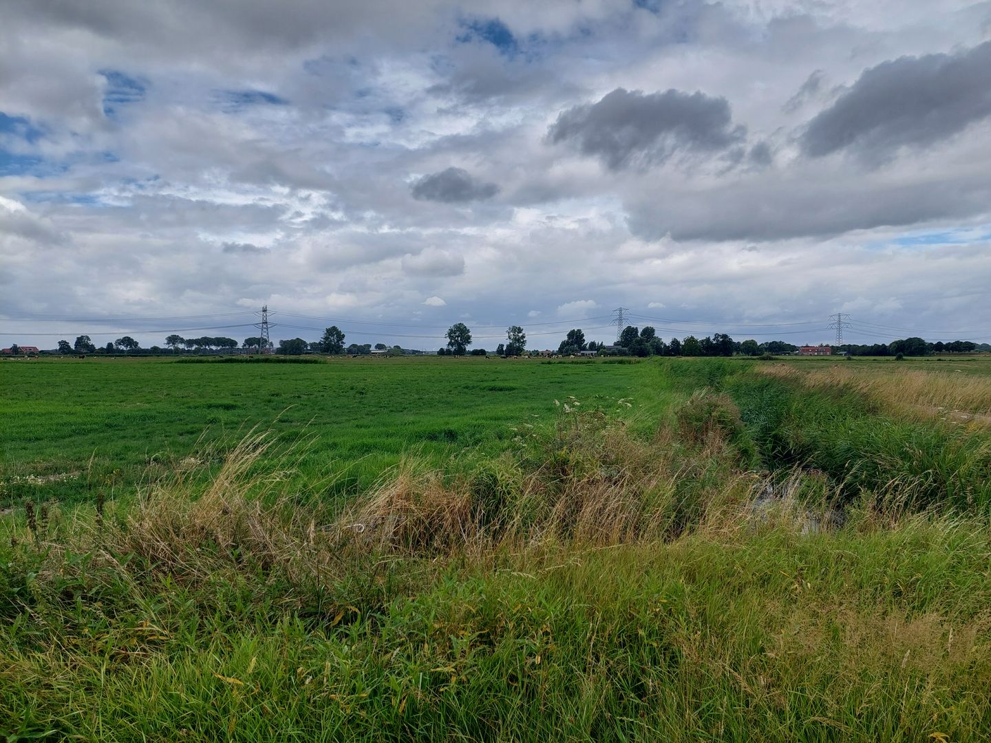 Bekijk foto 3 van Konijnendijk
