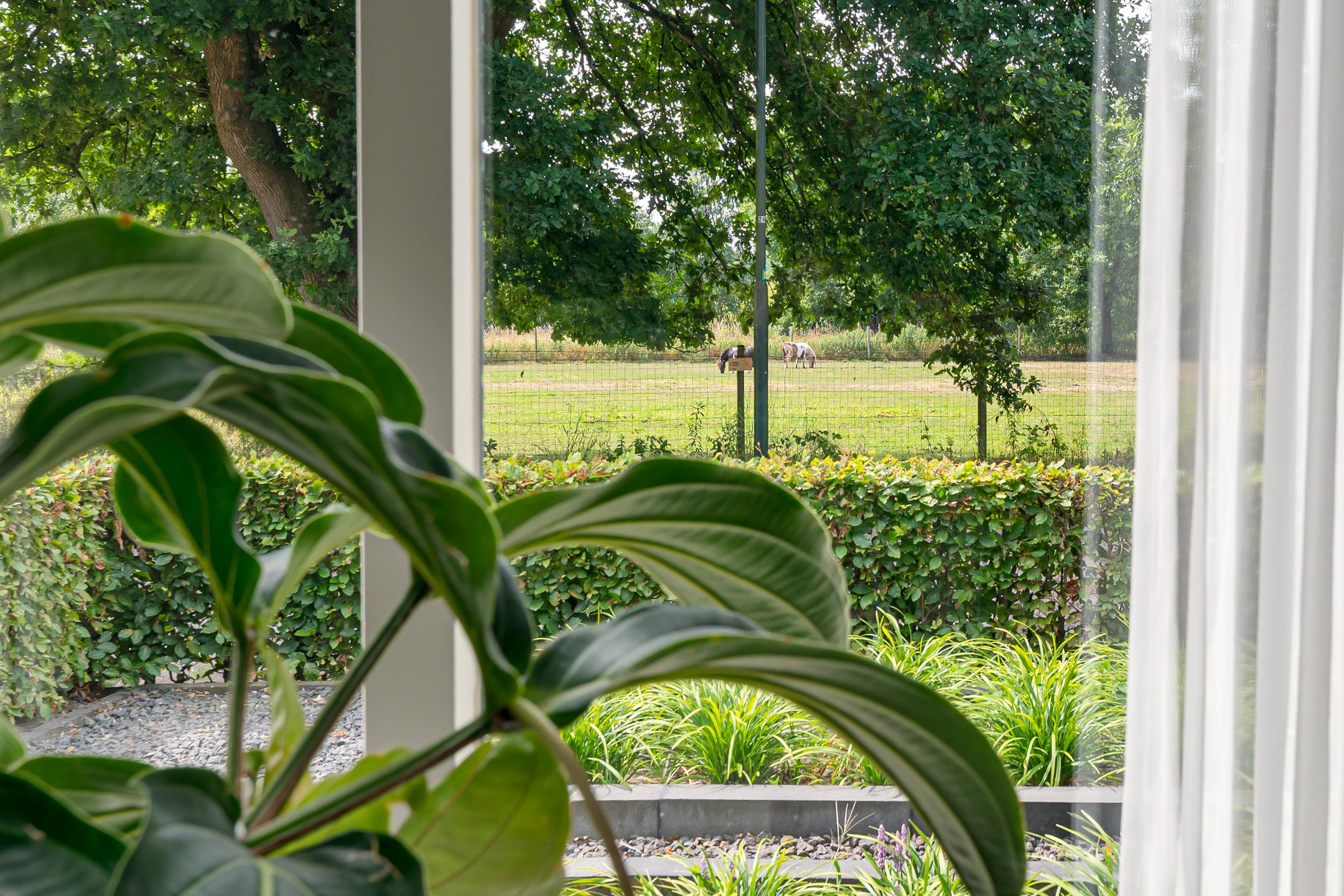 Photo 9 of Schoolhuisweg 47