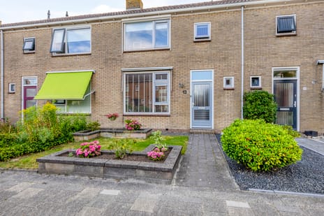 undefined main image