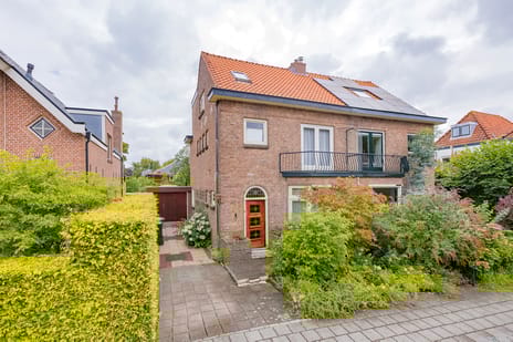 undefined main image