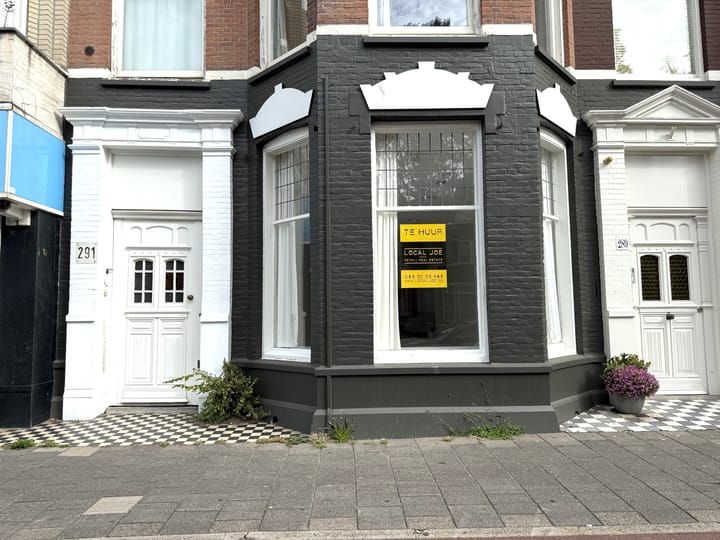 Laan van Meerdervoort 291