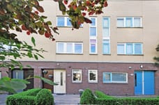 free-sector-houses for rent on Breitnerhof 153