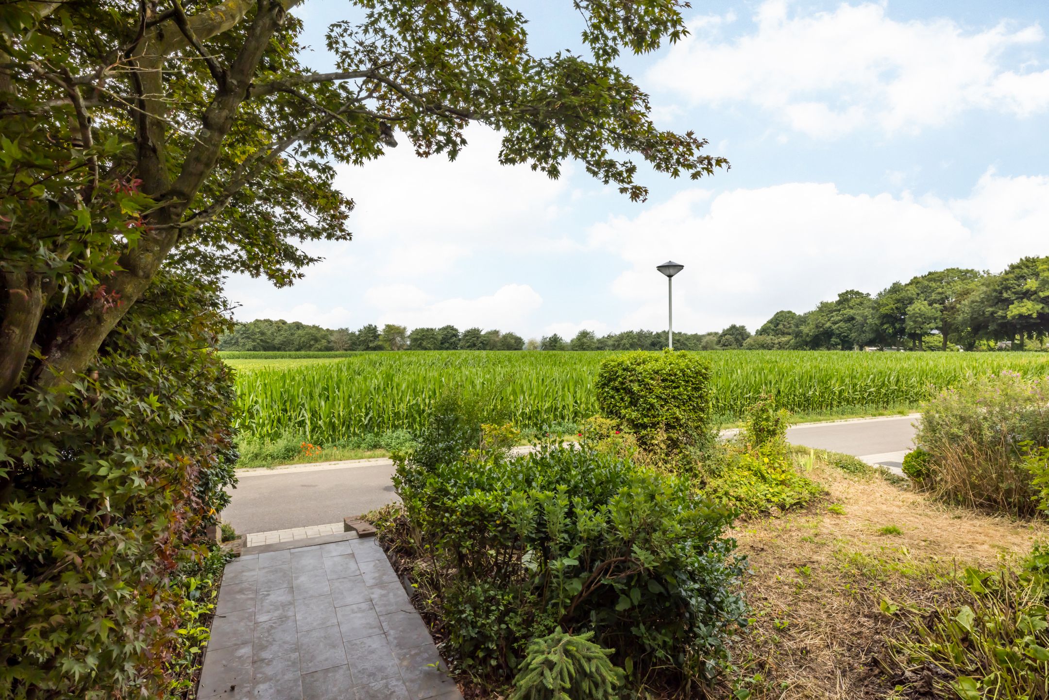 Photo 3 of De Koningswinkel 15