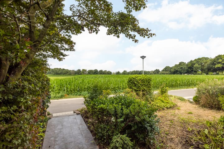 Foto 3 van De Koningswinkel 15