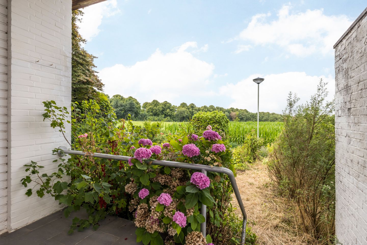 Photo 10 of De Koningswinkel 15