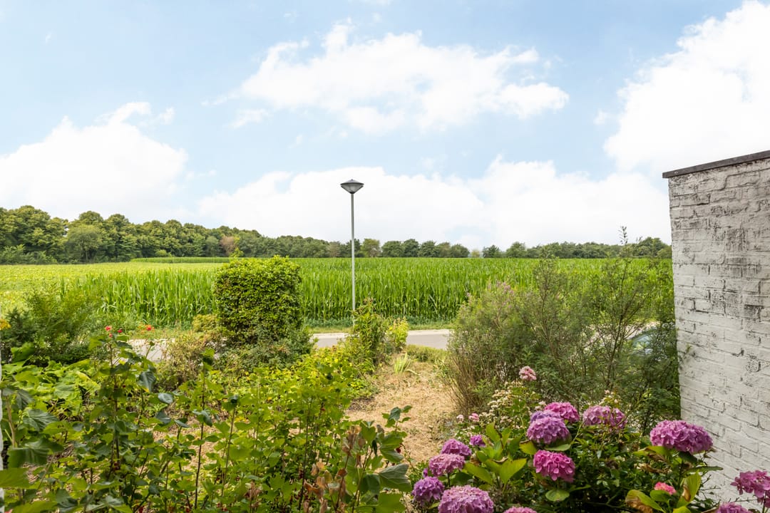 Photo 11 of De Koningswinkel 15