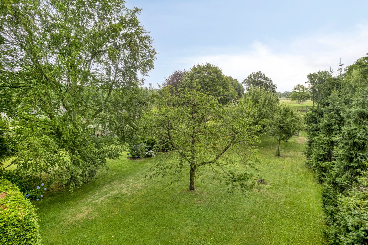 Foto 4 van Landrop 14