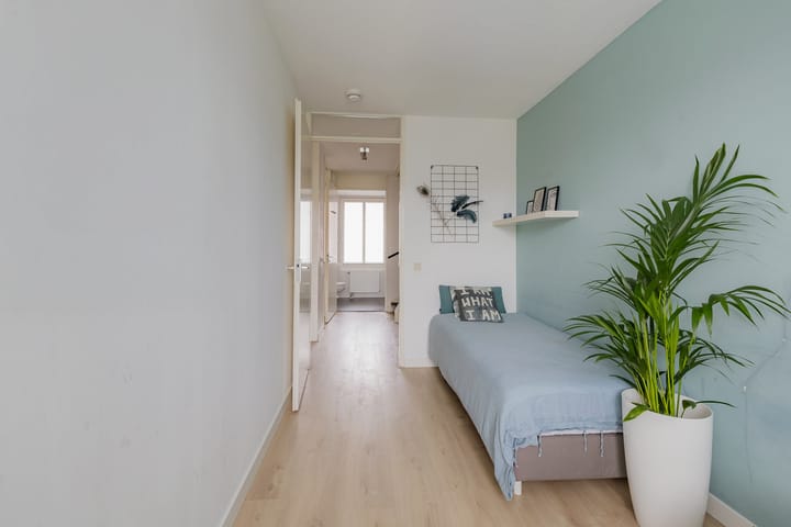 Photo 23 of Zilverstein 16