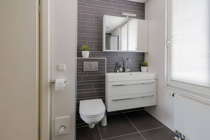 Photo 30 of Zilverstein 16