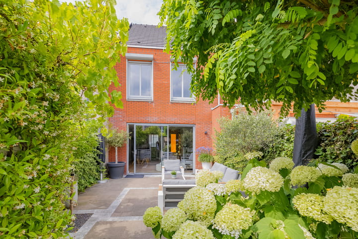 Photo 42 of Zilverstein 16