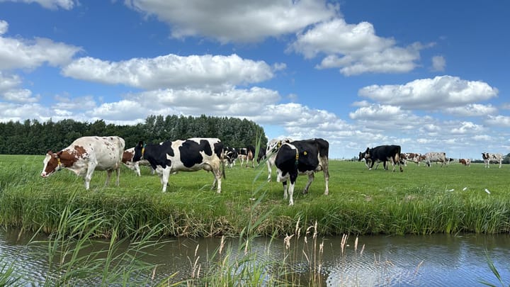 Foto 27 van Vecht en Veld 27