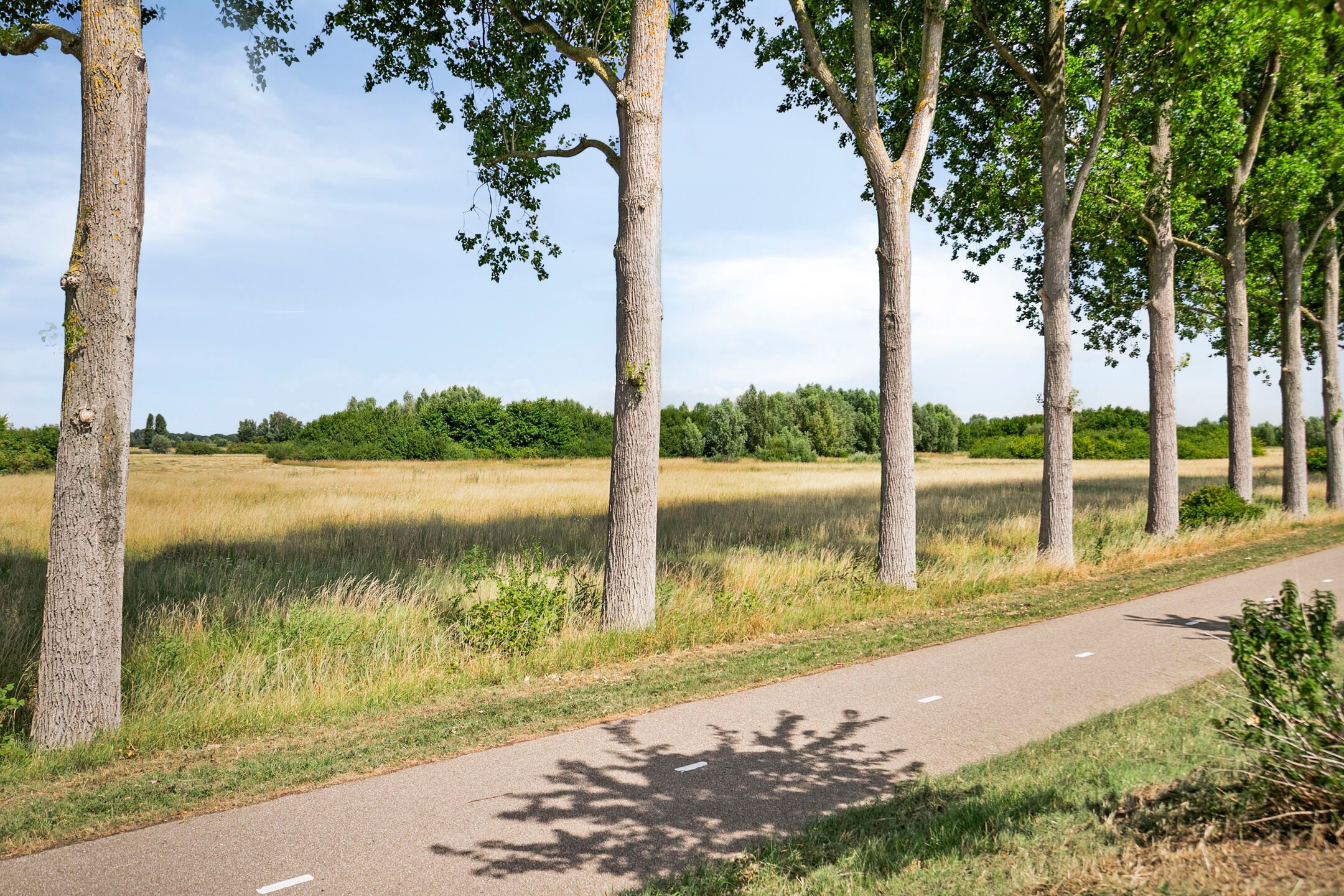 Photo 27 of Schelpenlaan 25