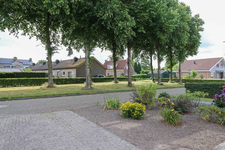 Foto 12 van De Wear 40