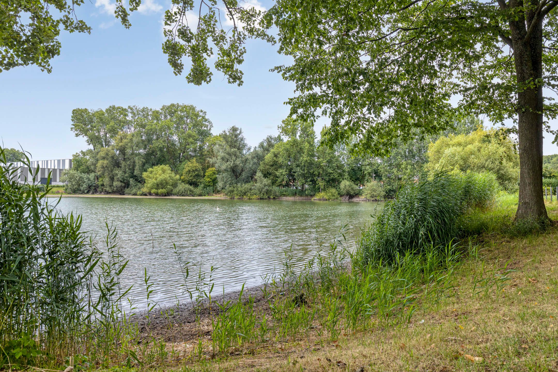 Photo 33 of Heuvel 69