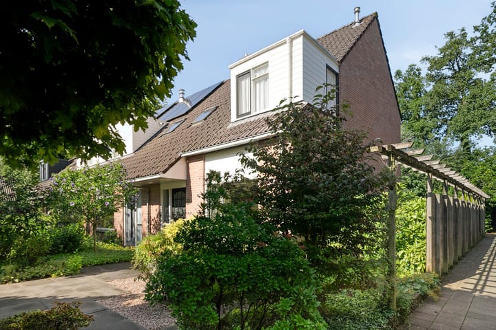 Foto 1 van Plataan 20