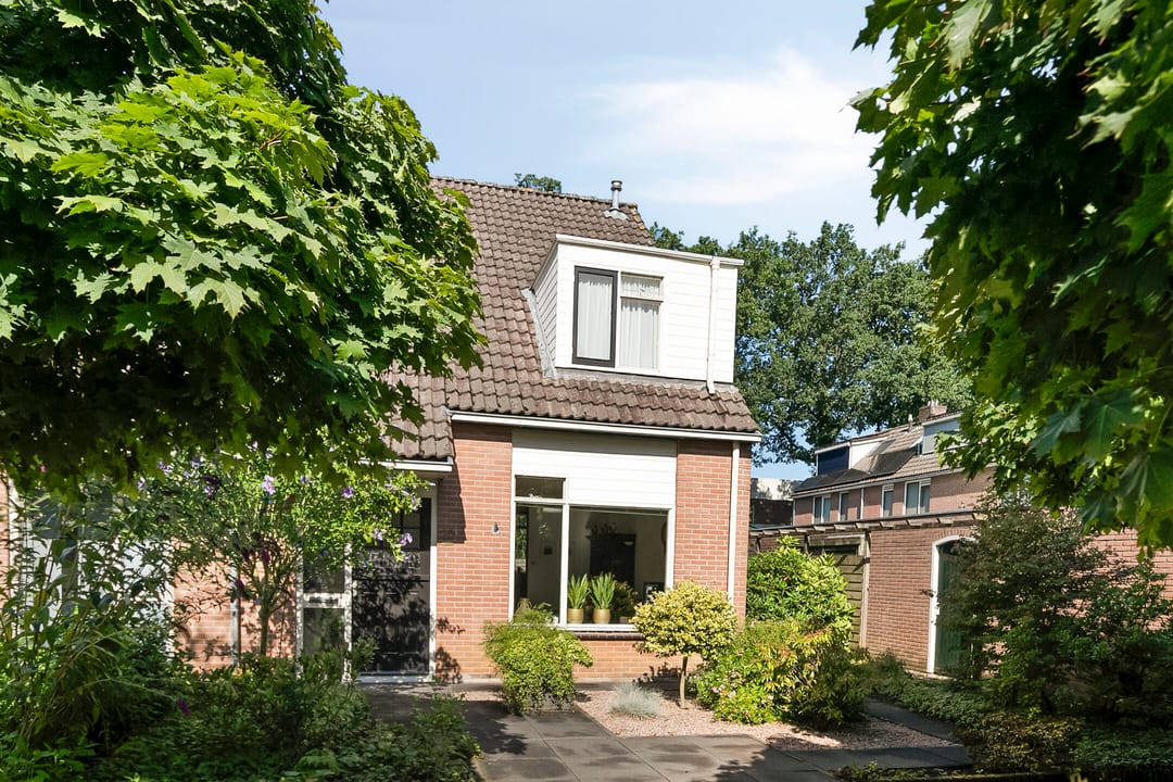 Foto 2 van Plataan 20