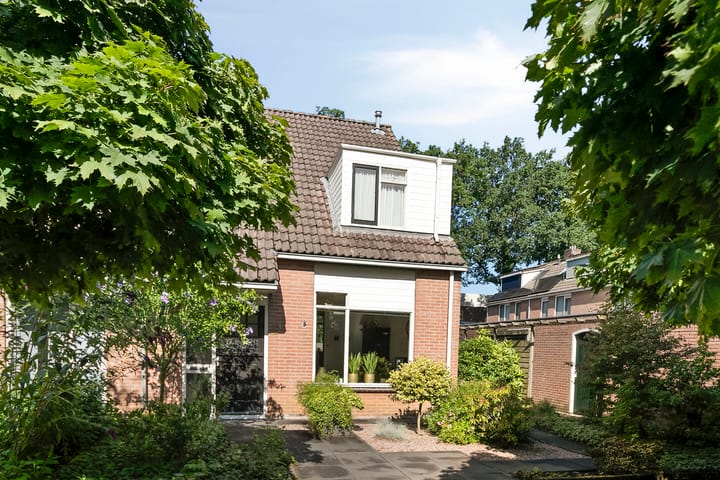 Foto 2 van Plataan 20