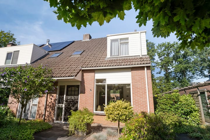 Foto 3 van Plataan 20