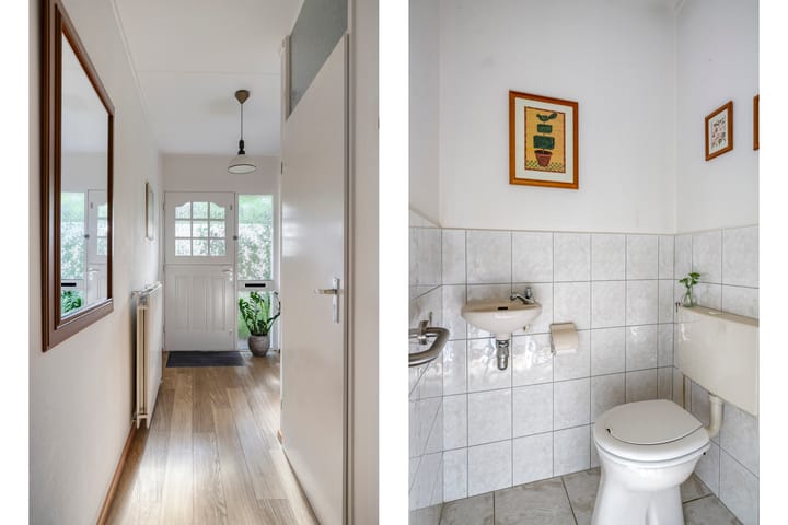 Foto 4 van Plataan 20