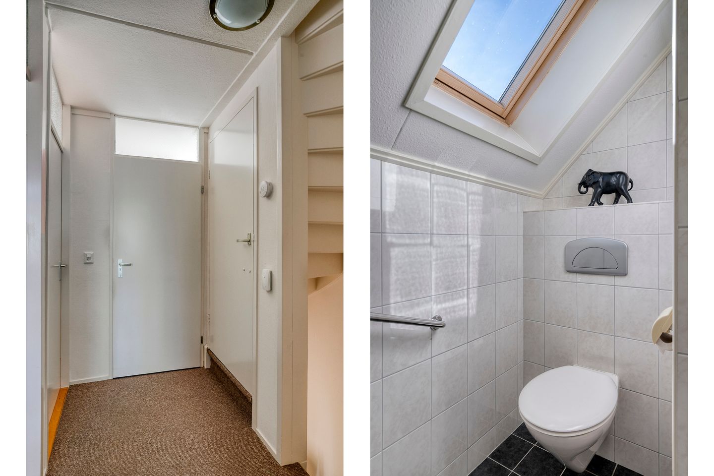 Foto 10 van Plataan 20