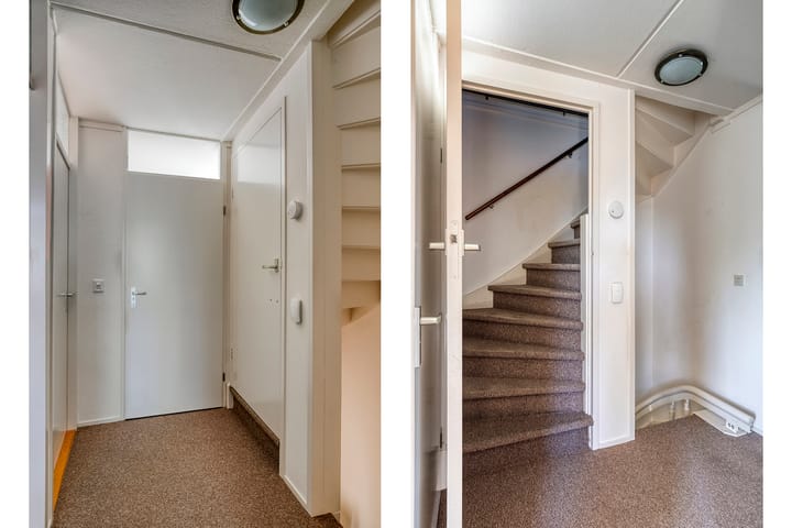 Foto 20 van Plataan 20