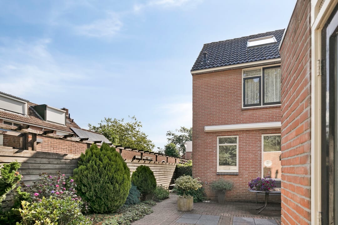 Foto 28 van Plataan 20