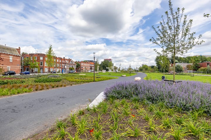 Foto 38 van Dijkstraat 19