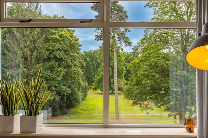 Foto 8 van Park de Kotten 239