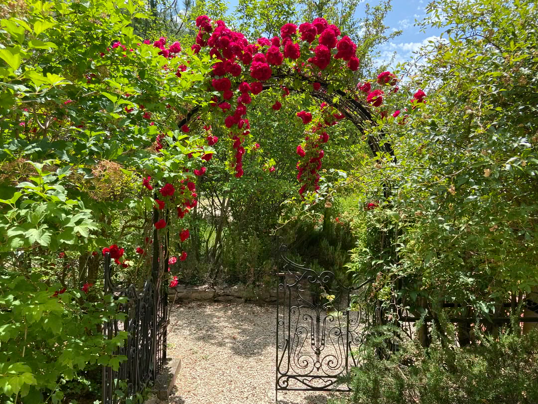 Foto 38 van 55 Les Cantarelles