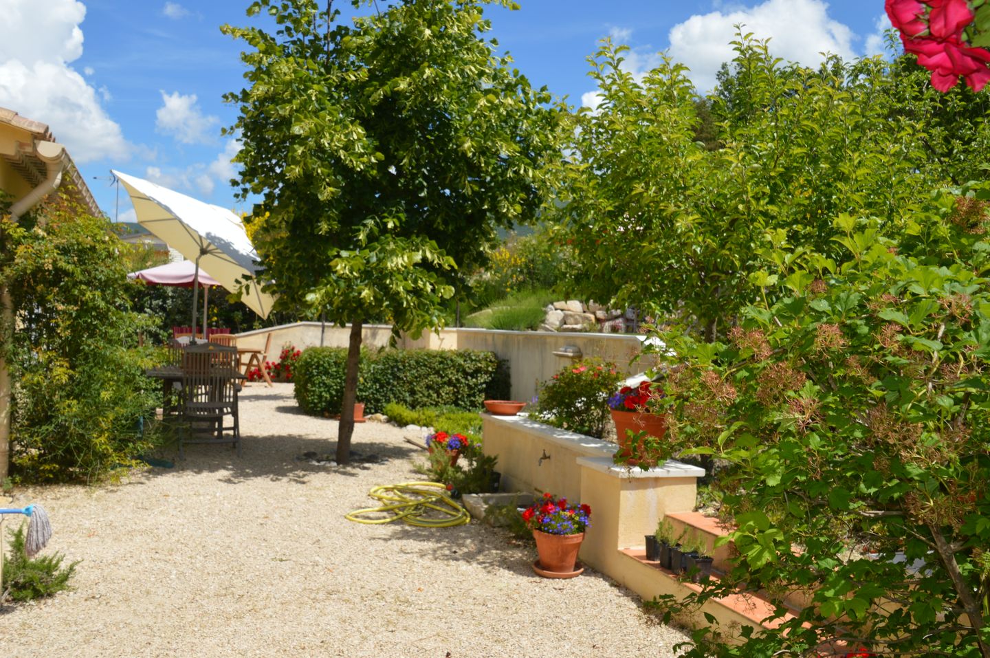 Foto 40 van 55 Les Cantarelles