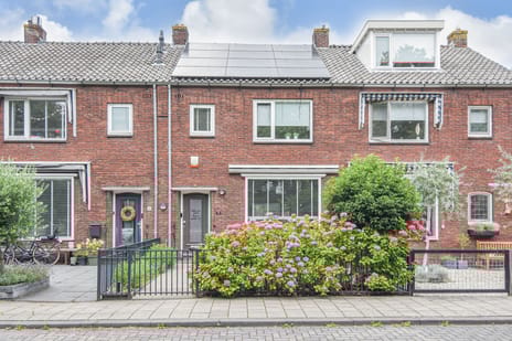 van Baerlestraat thumbnail