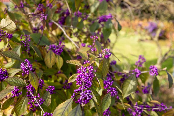 Photo 27 of Hofweg 5