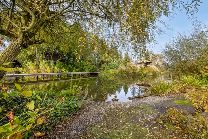 Photo 43 of Hofweg 5