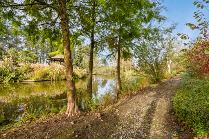 Photo 45 of Hofweg 5