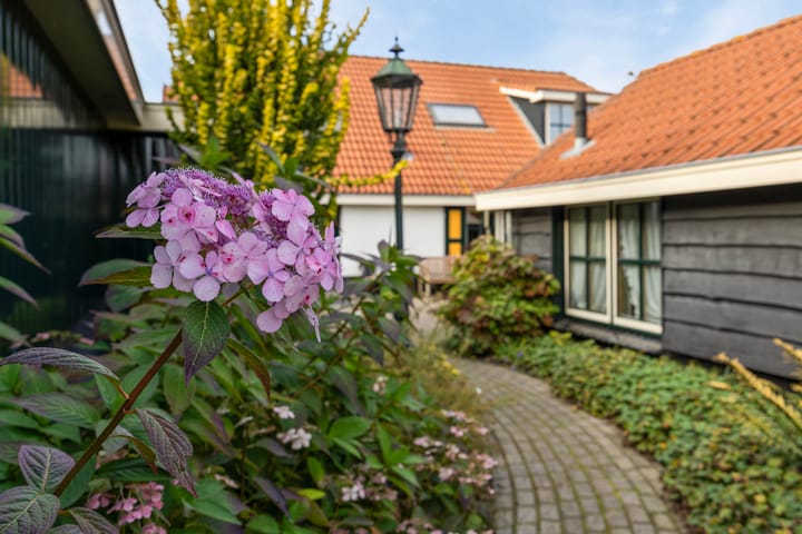 Photo 52 of Hofweg 5