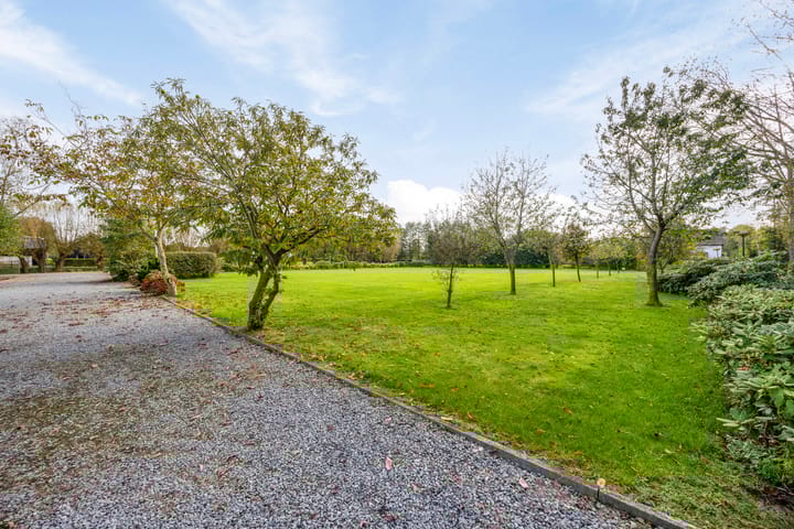 Photo 54 of Hofweg 5