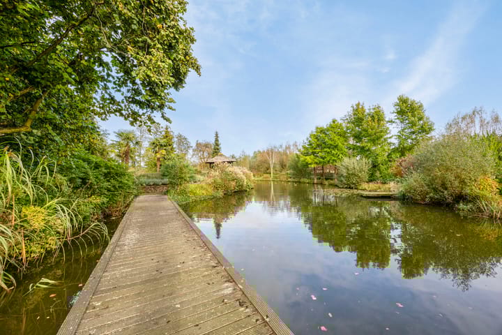 Photo 64 of Hofweg 5