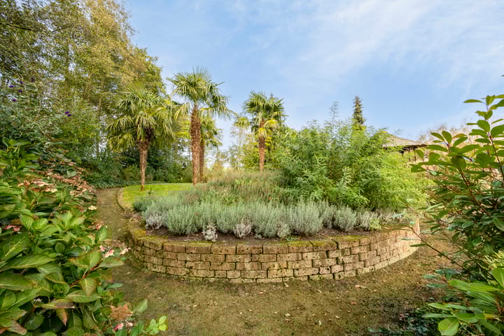 Photo 66 of Hofweg 5