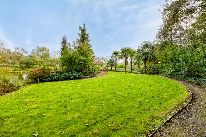 Photo 77 of Hofweg 5